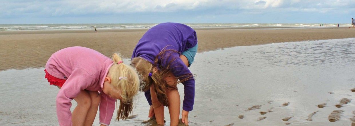 Erlebnisraum Wattenmeer - Kinder entdecken das Naturerbe