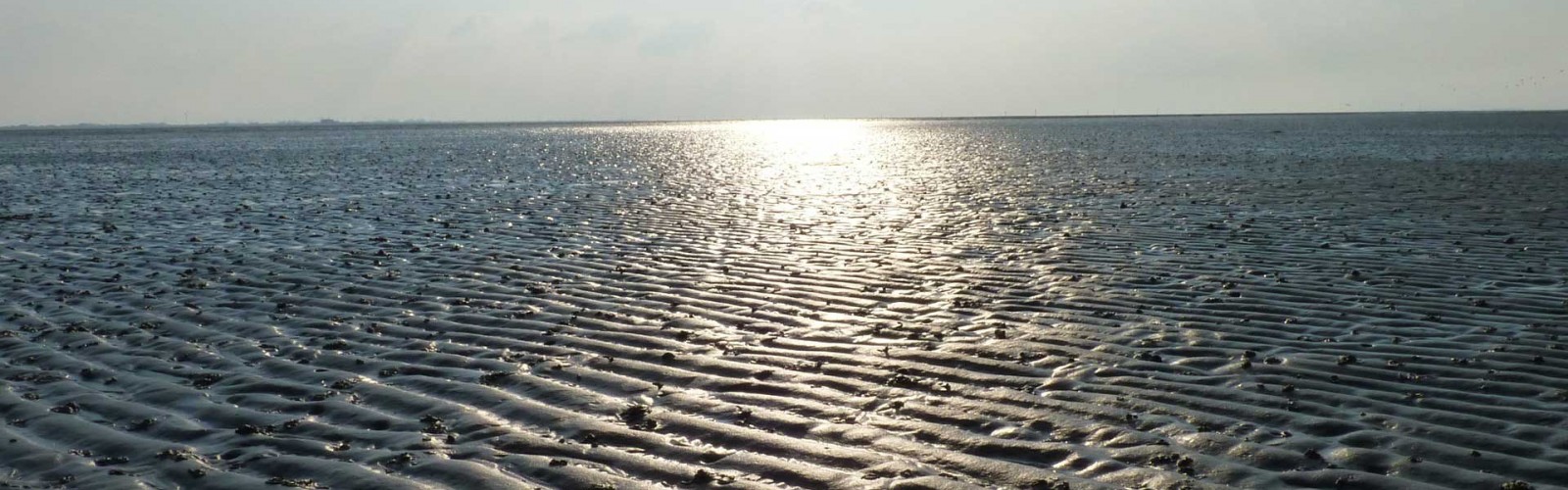 Das UNESCO Weltnaturerbe Wattenmeer
