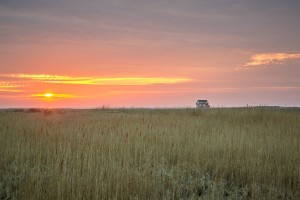 Sonnenaufgang im Weltnaturerbe Wattenmeer