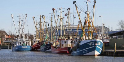 Krabbenkutter im Außenhafen von Husum